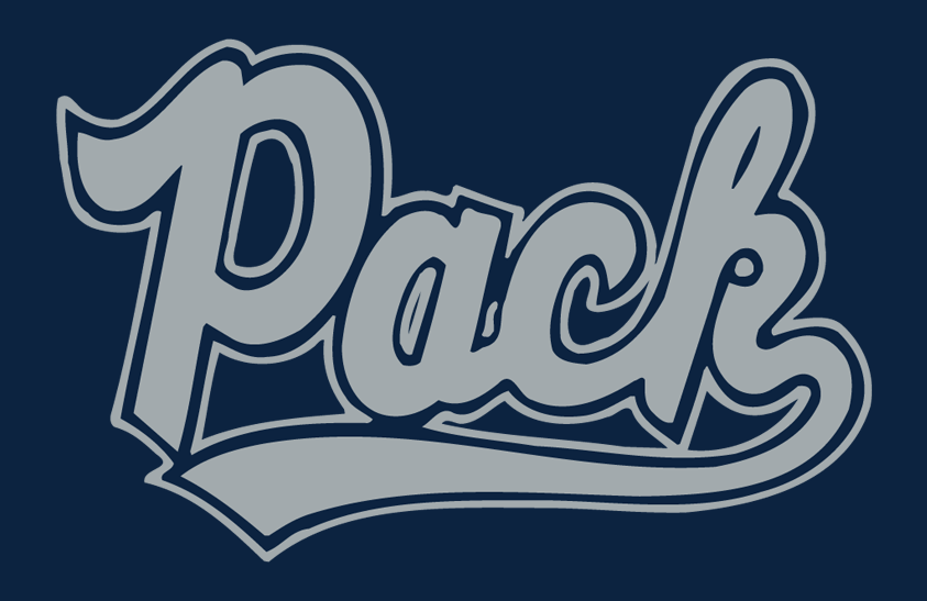 Nevada Wolf Pack 2013 Helmet Logo diy iron on heat transfer